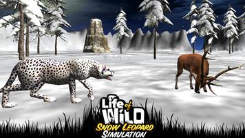 Life of Wild Snow Leopard 3D