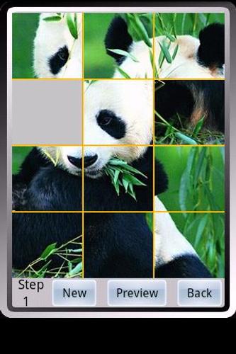 Panda Puzzle