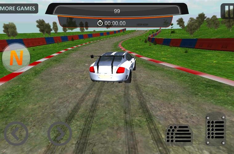 Fast 3D Furious Rally Driver