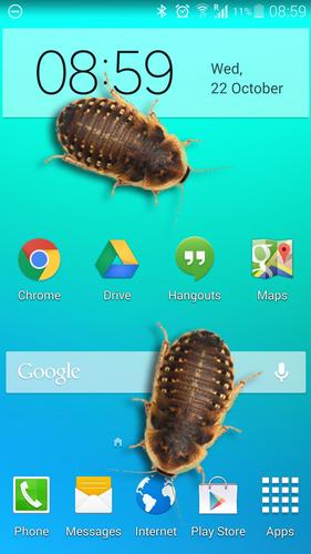 Bug in Phone funny joke