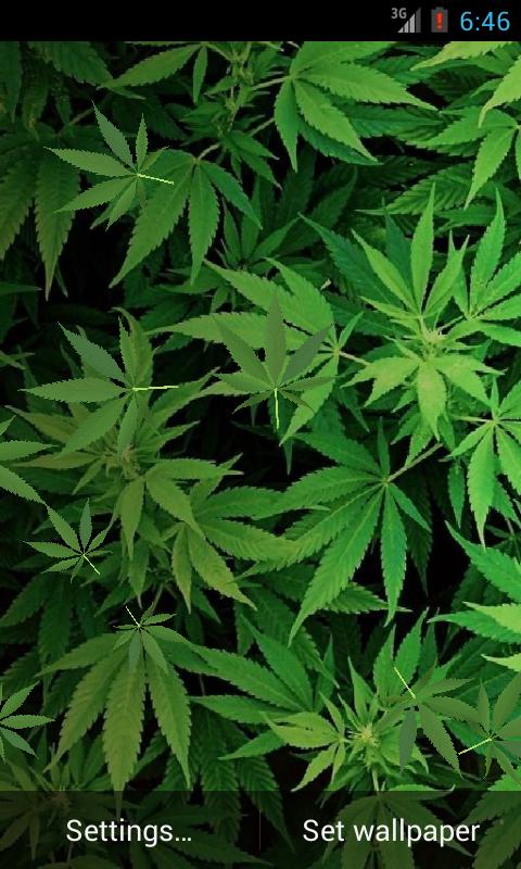 Marijuana 3D Live Wallpaper HD