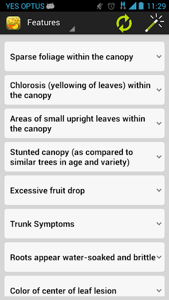 Citrus Diseases Key