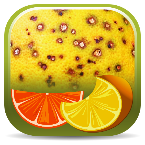 Citrus Diseases Key