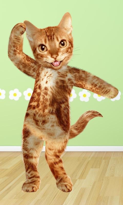 Dancing Cat