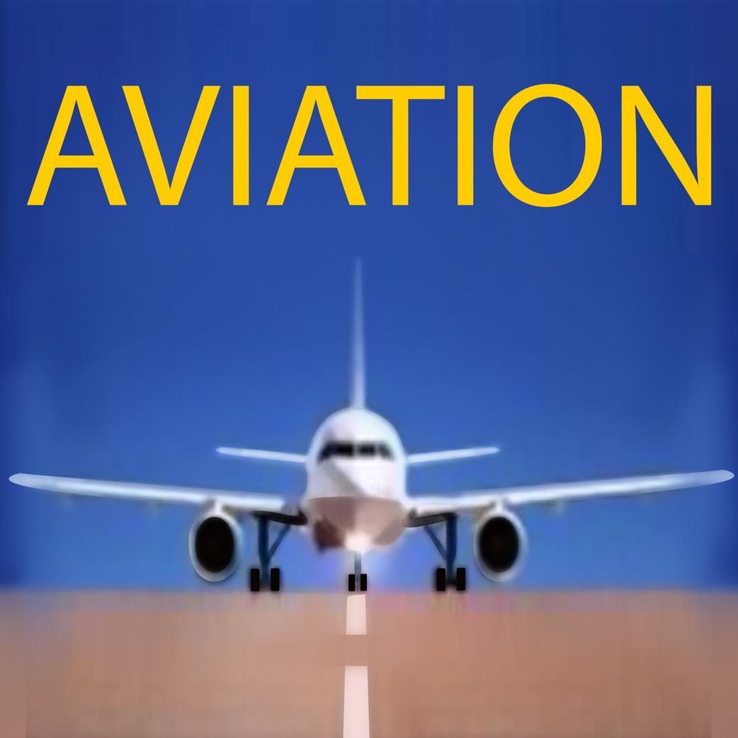 Aviation Domination