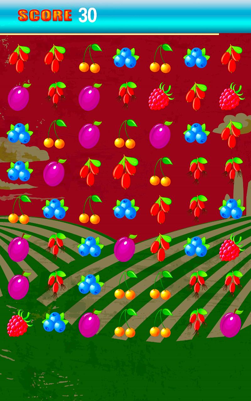 Fruit Fever Rush Match Puzzle