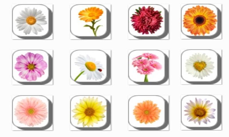 New Daisy Flowers Onet Game