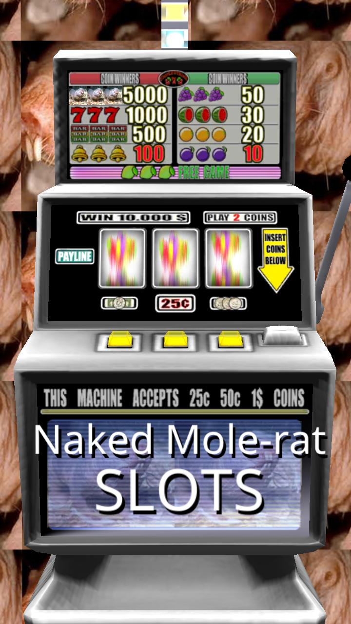 Naked Mole-rat Slots - Free