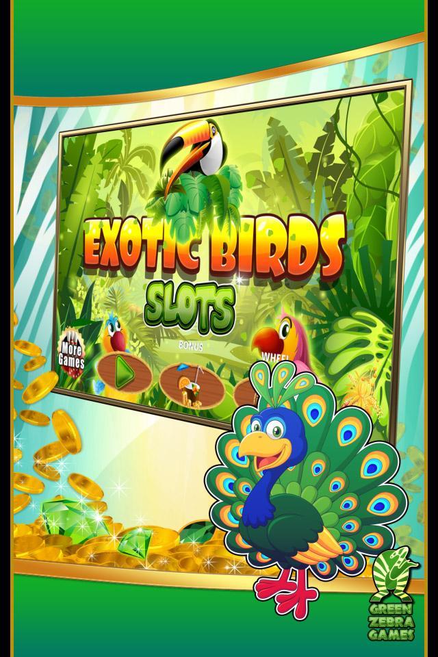 Exotic Birds Slots