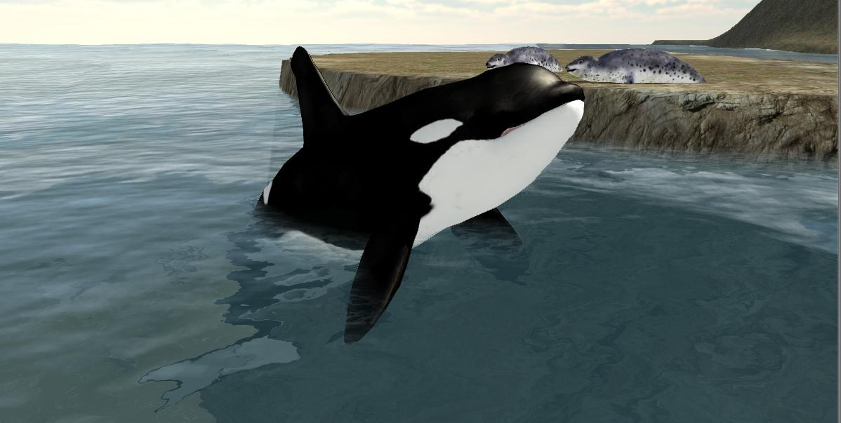 Orca Whale Simulator 3D