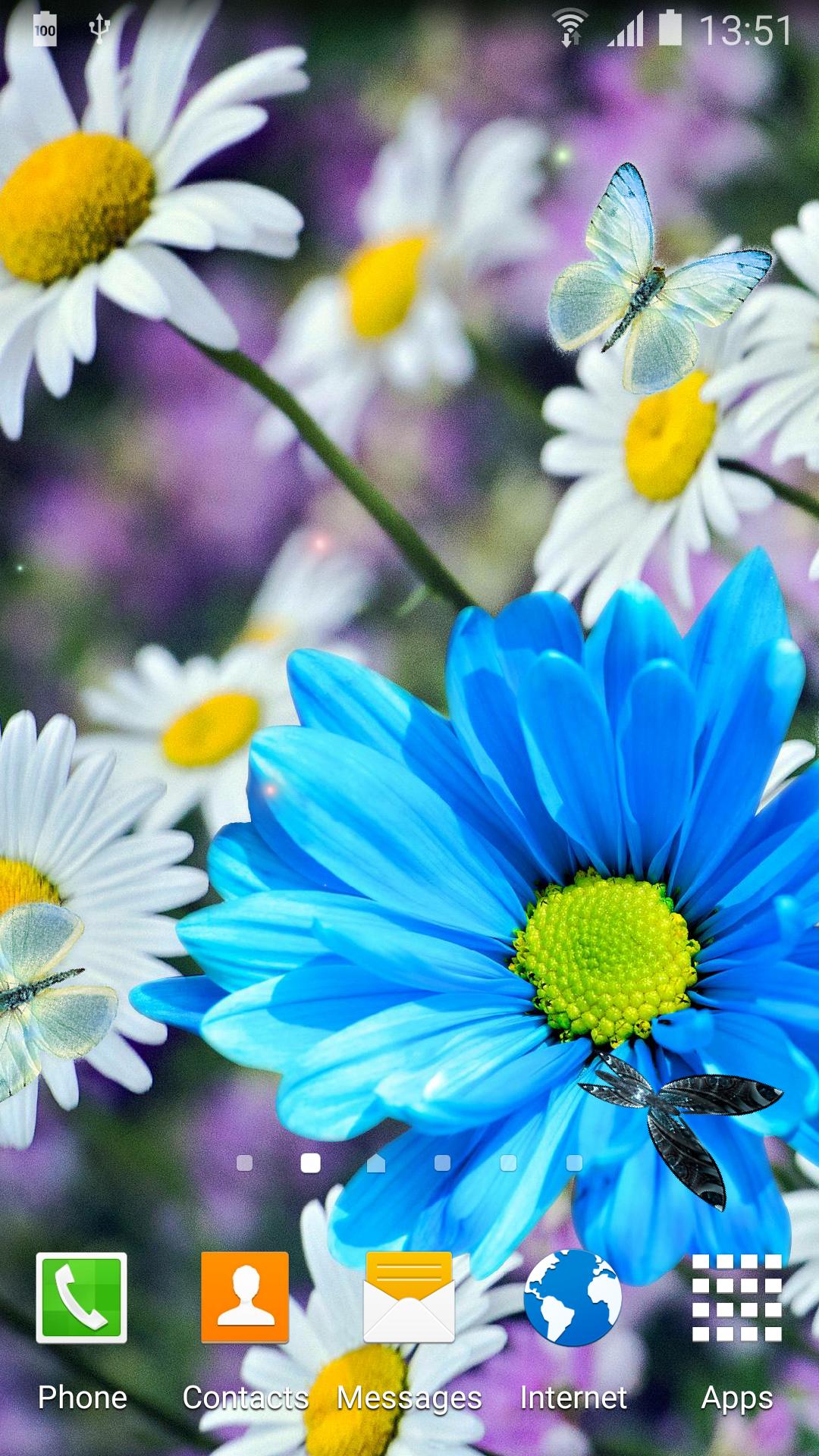 Daisies Flowers Live Wallpaper