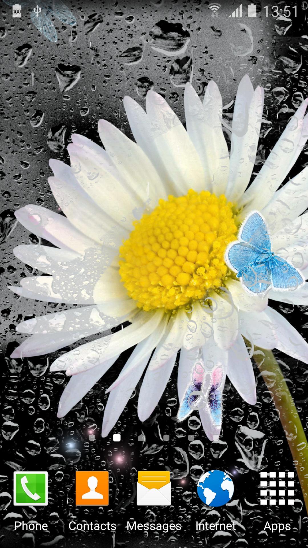 Daisies Flowers Live Wallpaper