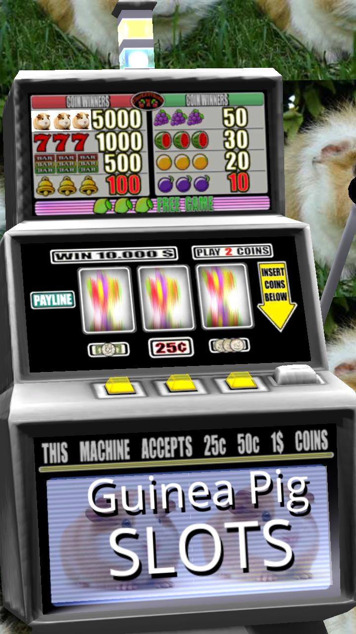 Guinea Pig Slots - Free