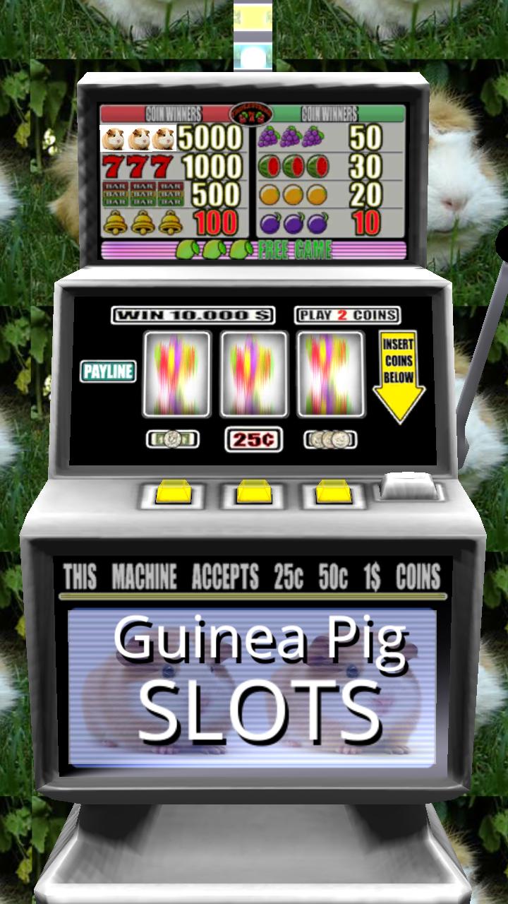 Guinea Pig Slots - Free