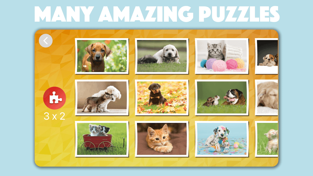 Dogs & Cats Puzzles for kids