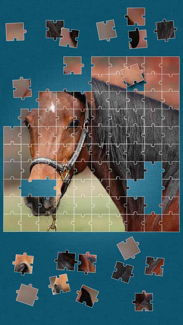 Farm Animals Jigsaw Puzzle