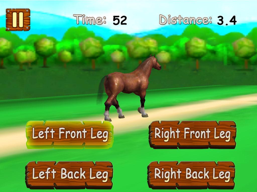 Virtual Horse Run