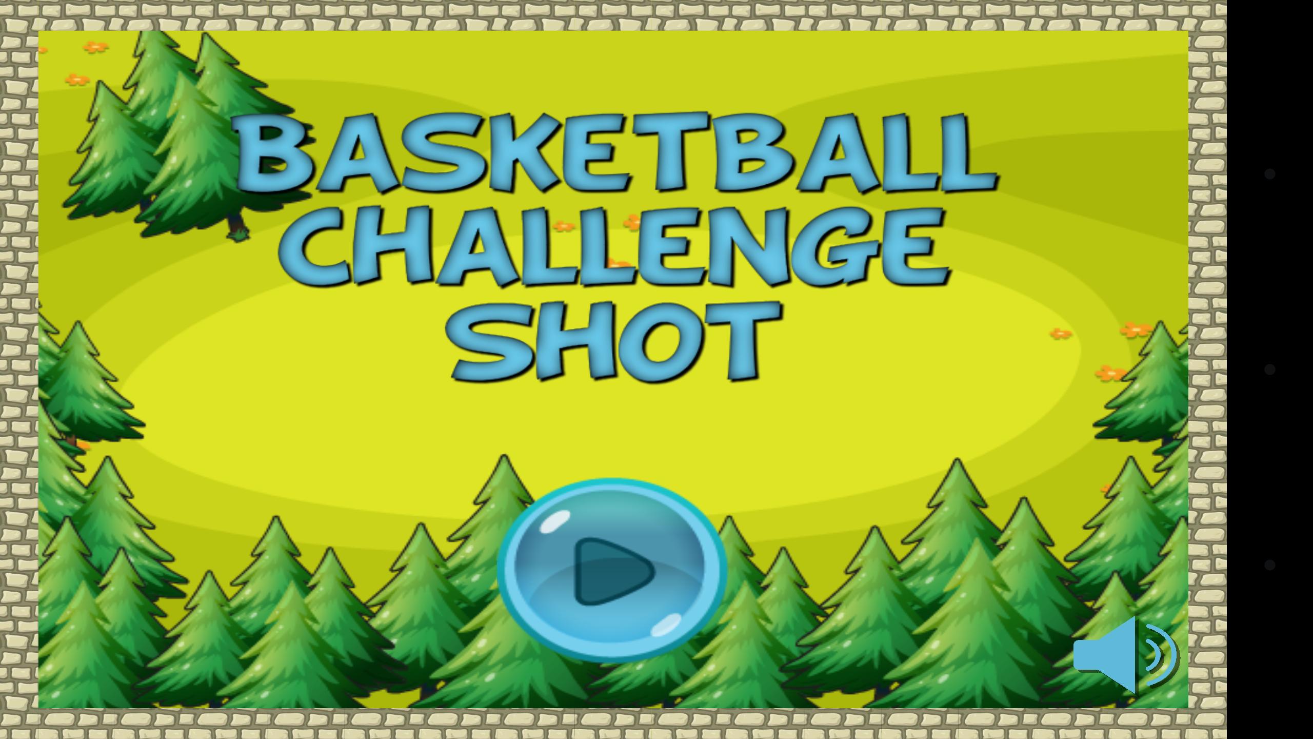 Basketball Challenge Shot