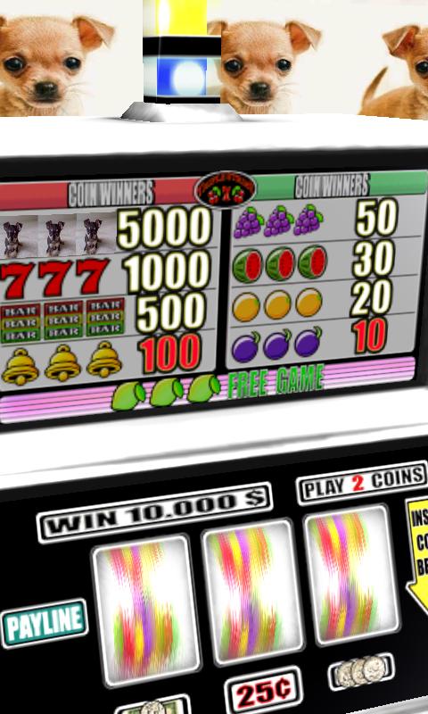 3D Chihuahua Slots - Free