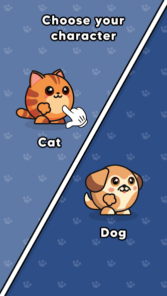 Cats vs Dogs Evolution