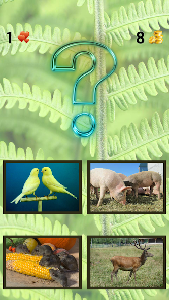 ZOO sounds quiz