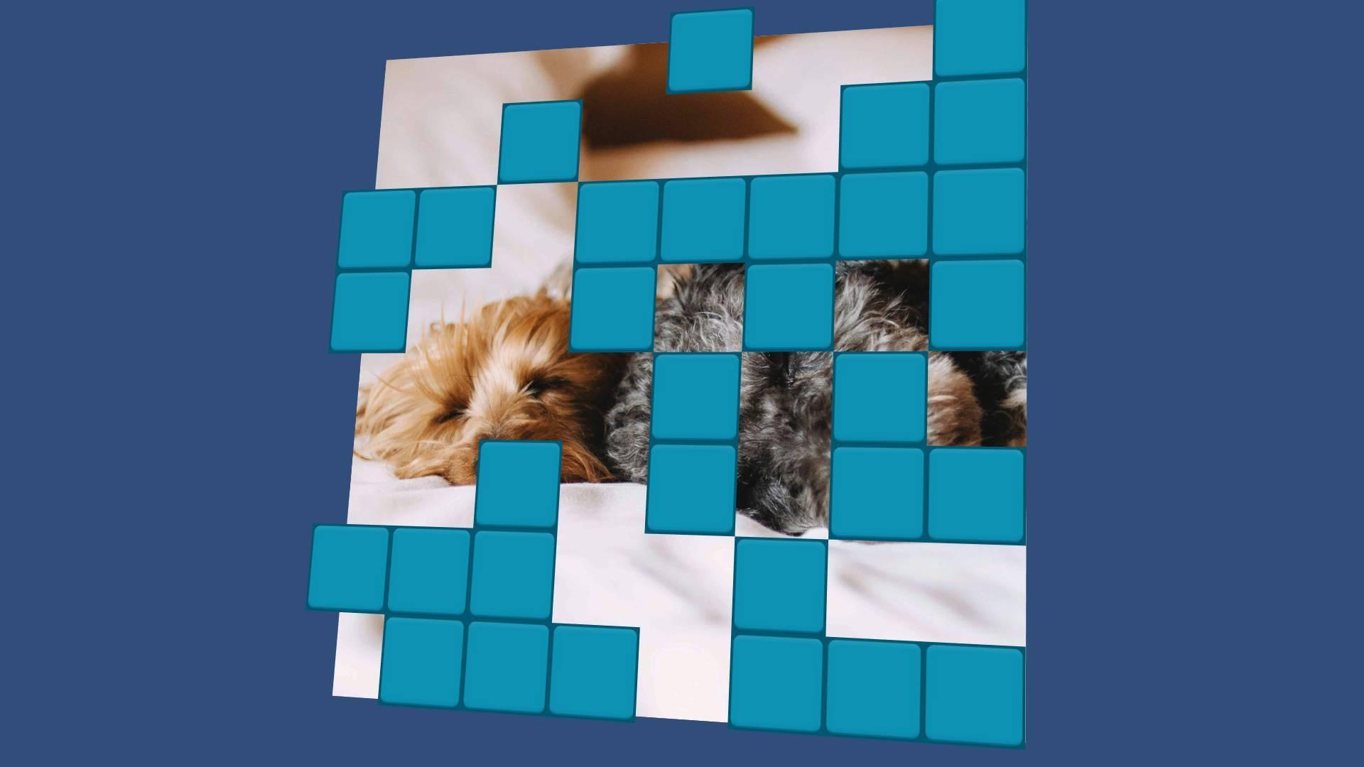 Wordsearch Revealer - Pets