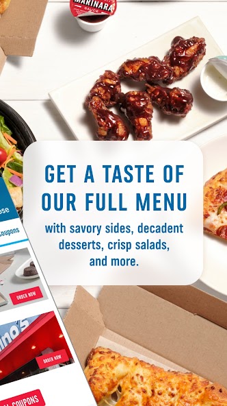 Domino's Pizza USA