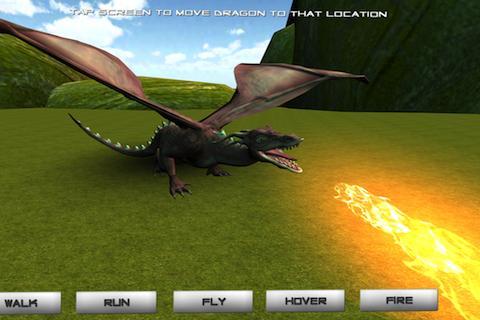 Pet Dragon