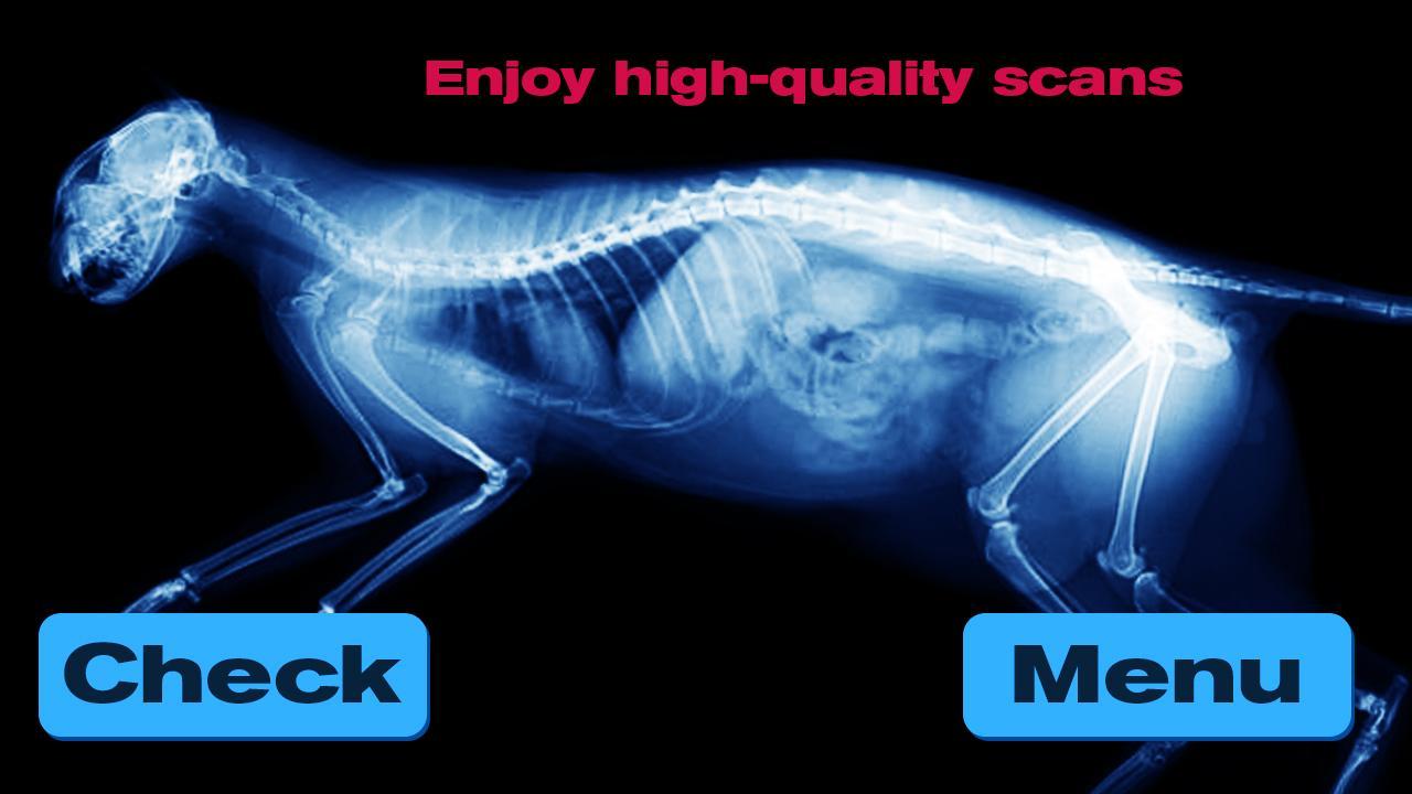 Simulation XRay Cat