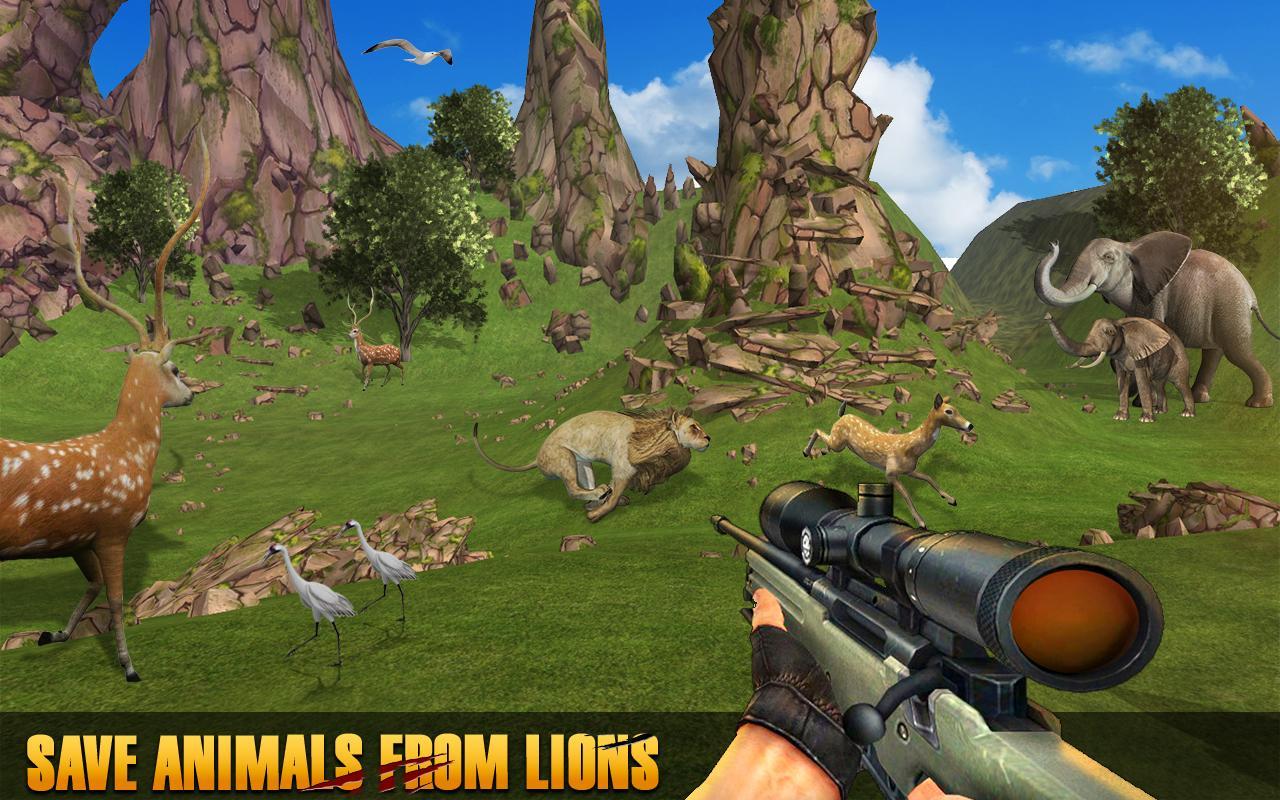 Wild Animal Games