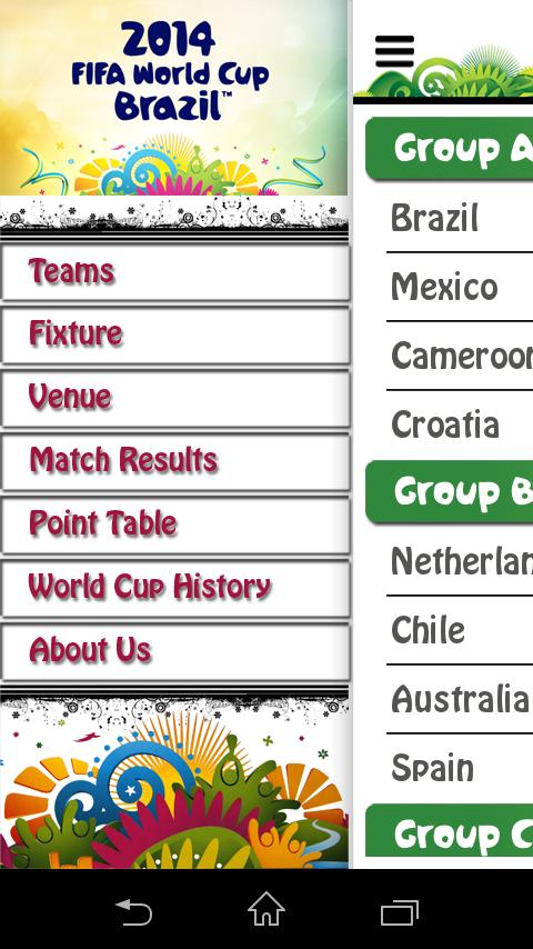 FIFA World Cup Fever 2014