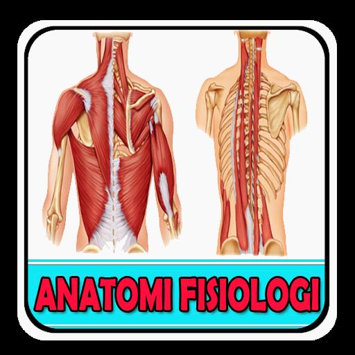 Anatomi Fisiologi Manusia