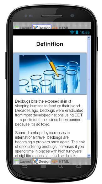 Bedbugs Disease & Symptoms