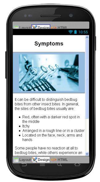 Bedbugs Disease & Symptoms