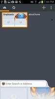 Fire Phoenix Secure Browser