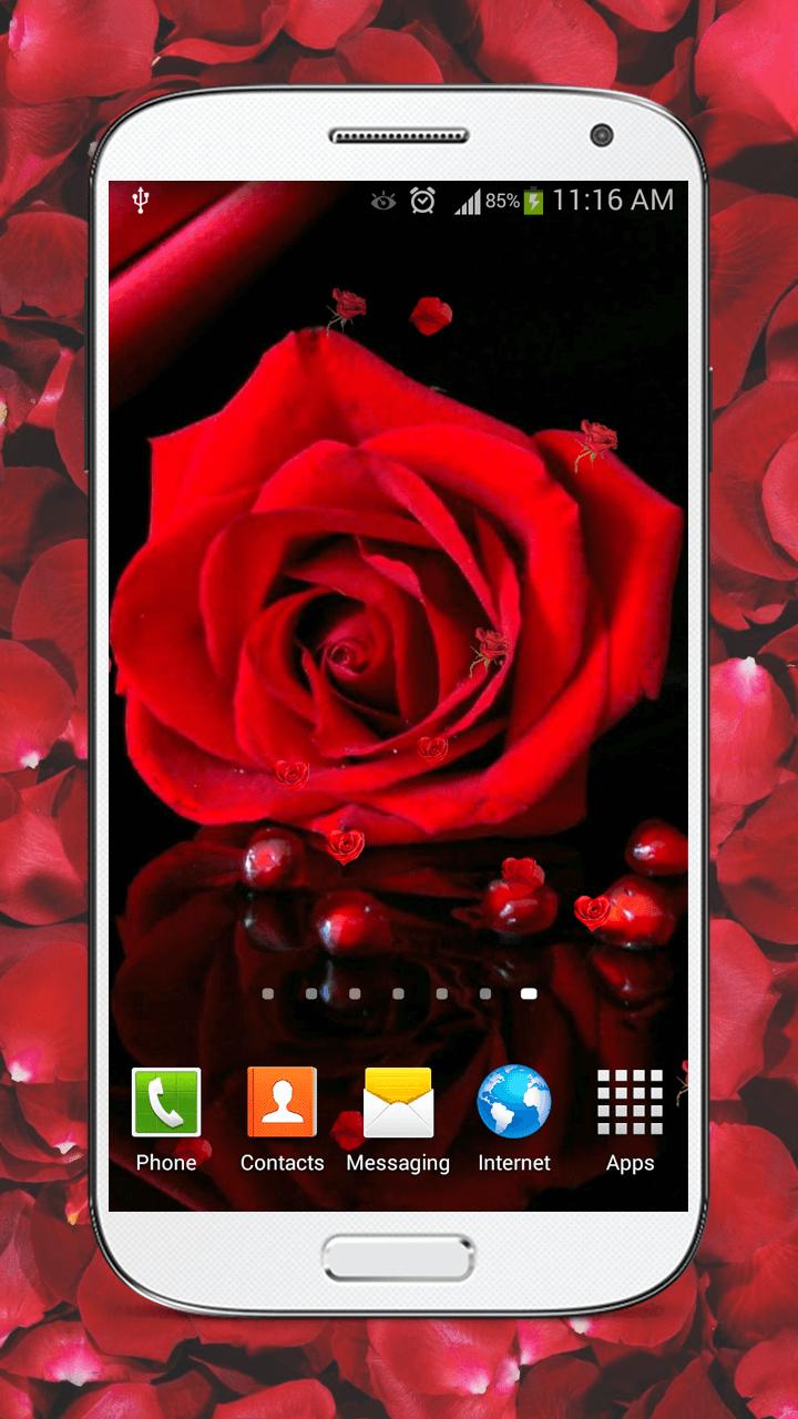 Red Roses Live Wallpaper HD
