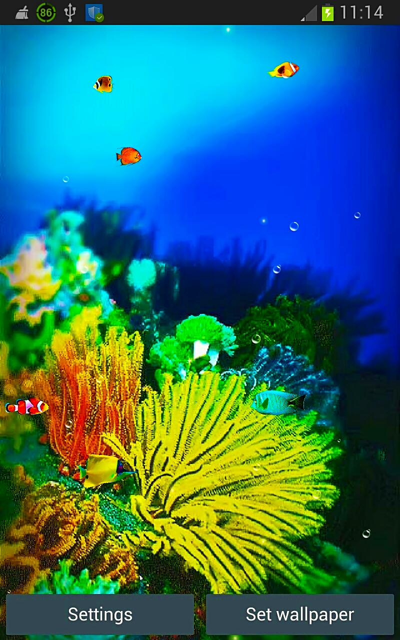 Galaxy S5 Fish Reef Wallpapers