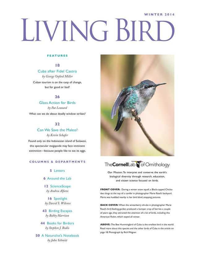 Living Bird Magazine