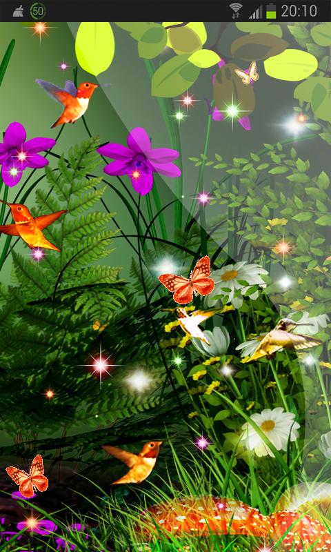 Summer Garden Bird Flower HD