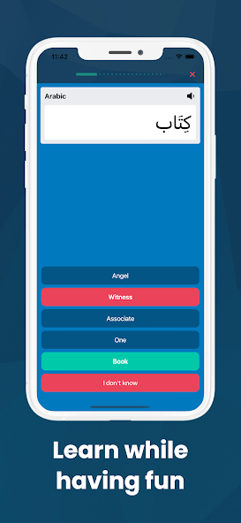 Learn Arabic with the Quran