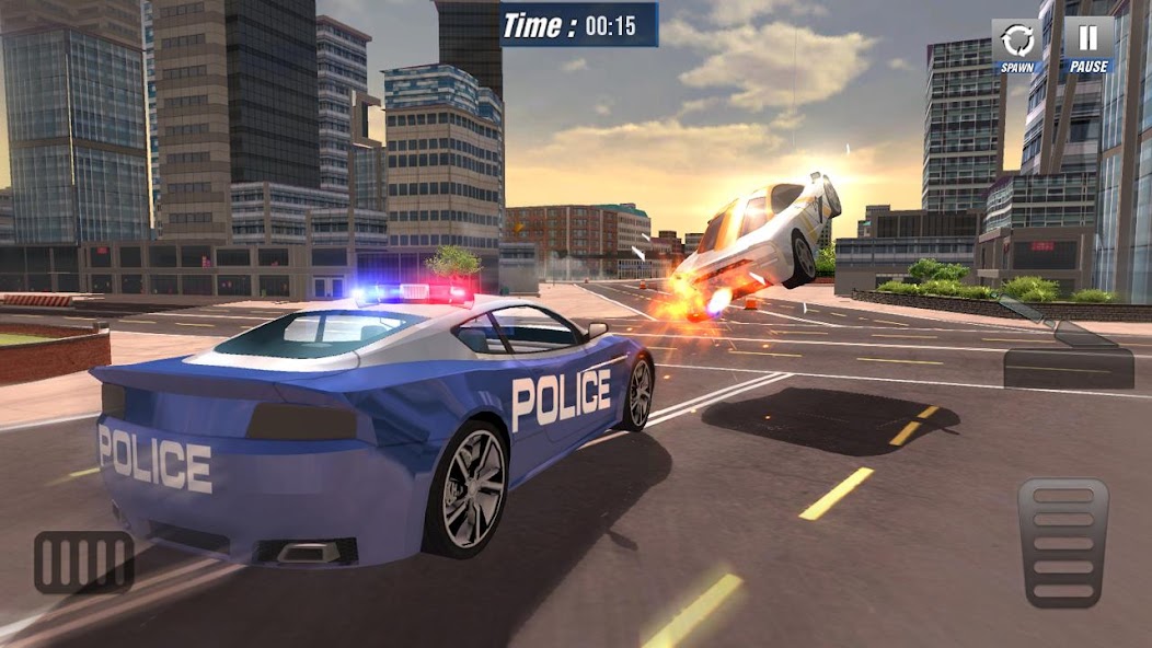 Police Car Sim