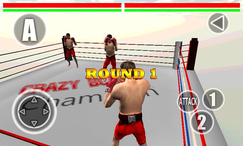 Crazy Boxing 3D