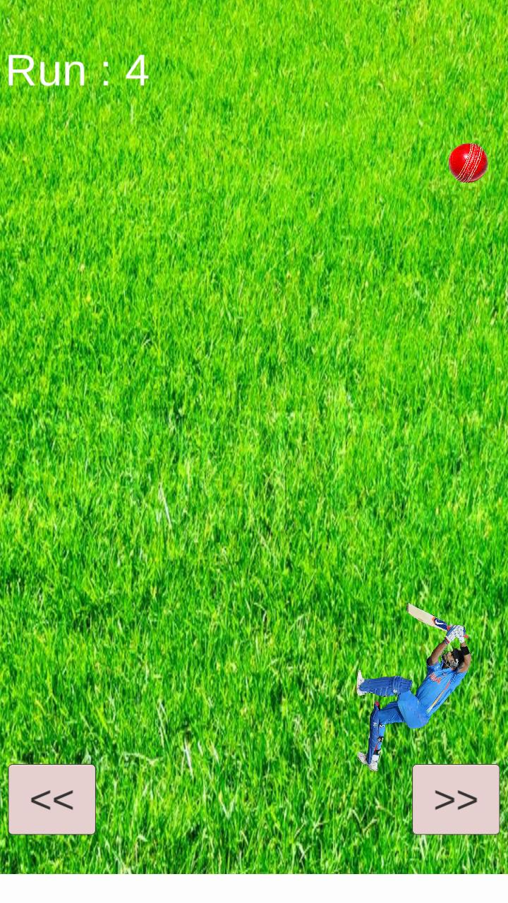 Virat Kohli Not Out* - Cricket Games