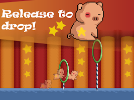 Circus Pig