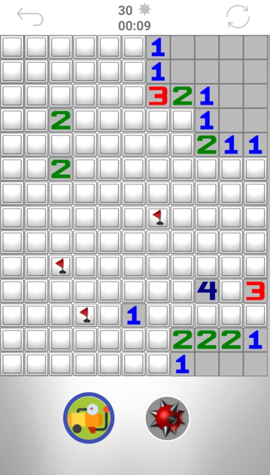 Minesweeper Pro