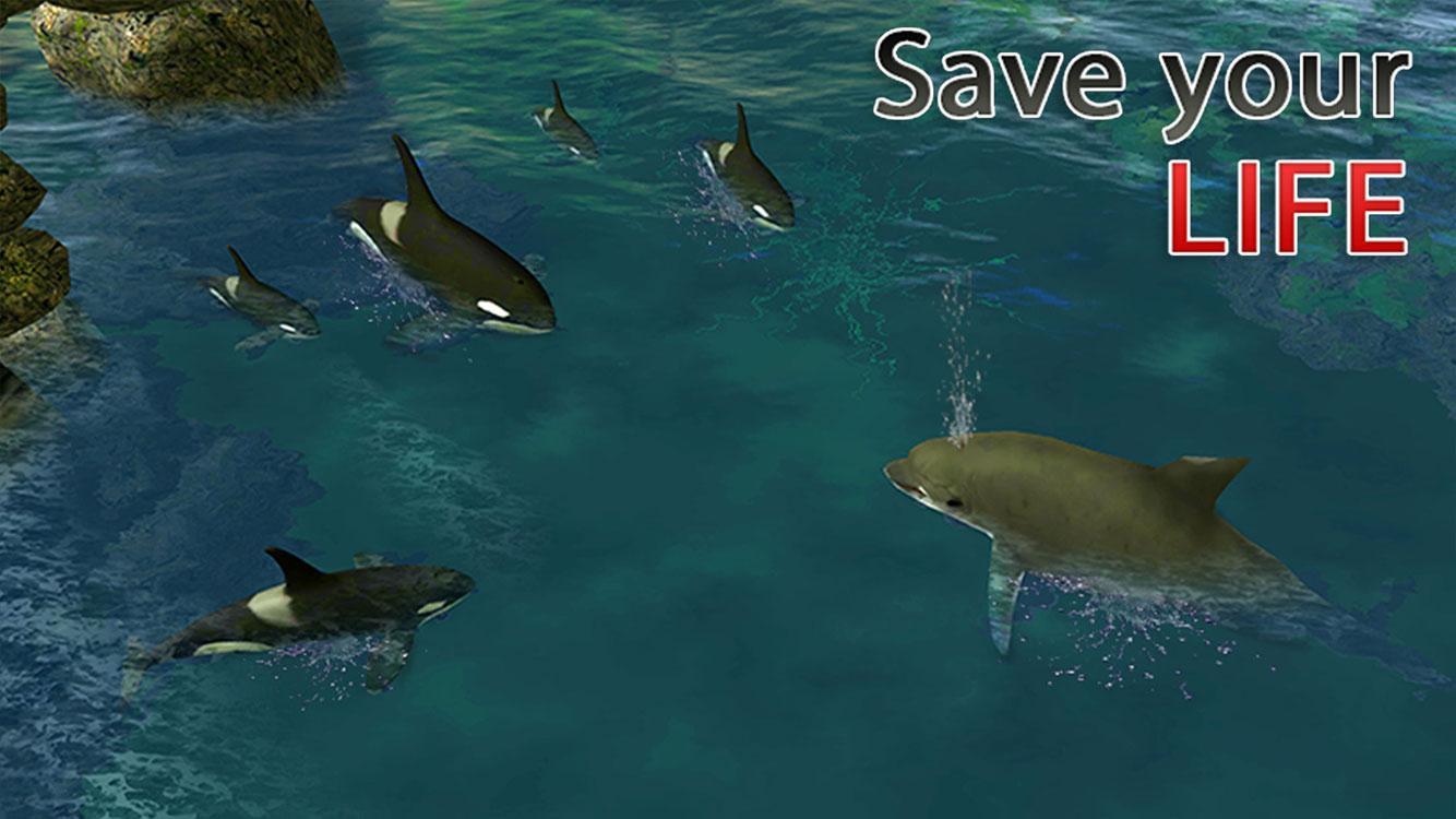 Real Dolphin Simulator