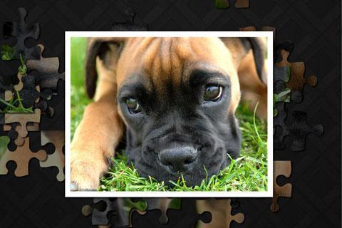 Puzzler Kids Puppies