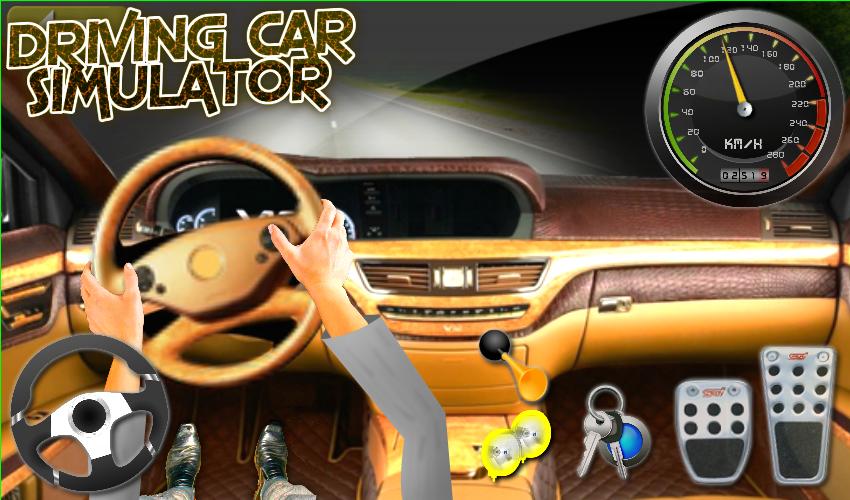 Driving Car Simulator
